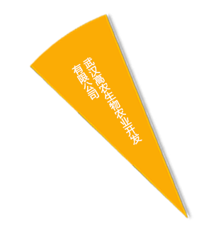 博亿国际(中国)有限公司