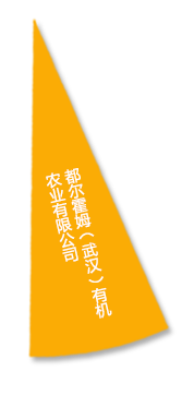 博亿国际(中国)有限公司