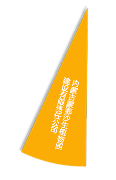 博亿国际(中国)有限公司