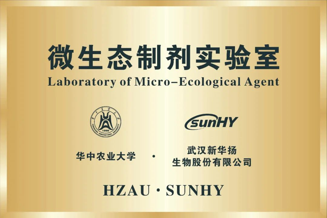 博亿国际(中国)有限公司