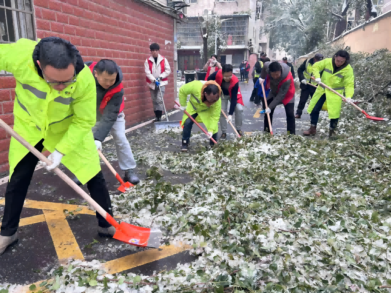 博亿国际(中国)有限公司