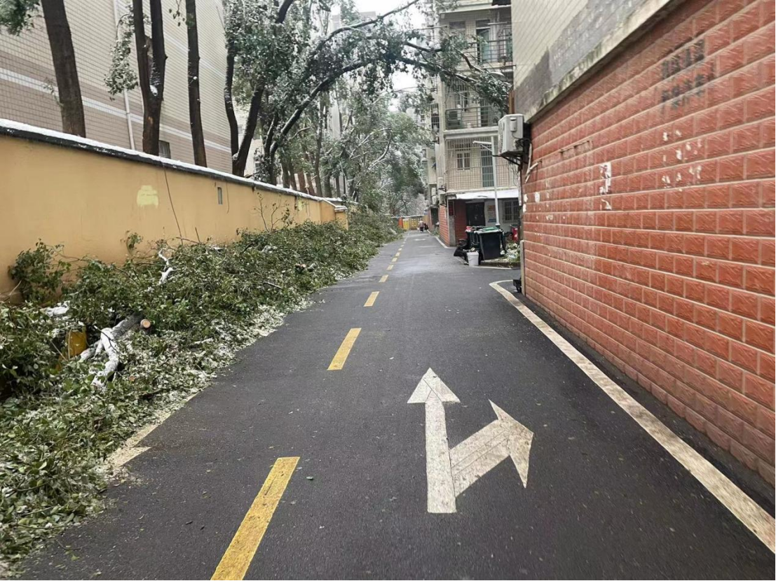 博亿国际(中国)有限公司