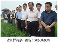 博亿国际(中国)有限公司