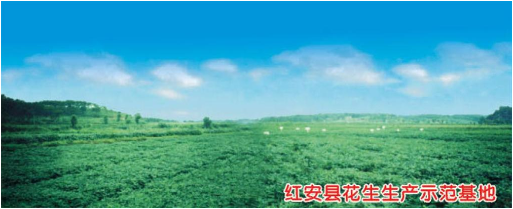 博亿国际(中国)有限公司