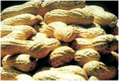 博亿国际(中国)有限公司