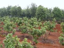 博亿国际(中国)有限公司