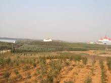 博亿国际(中国)有限公司