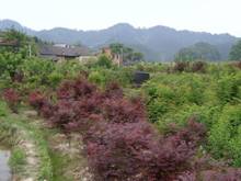 博亿国际(中国)有限公司