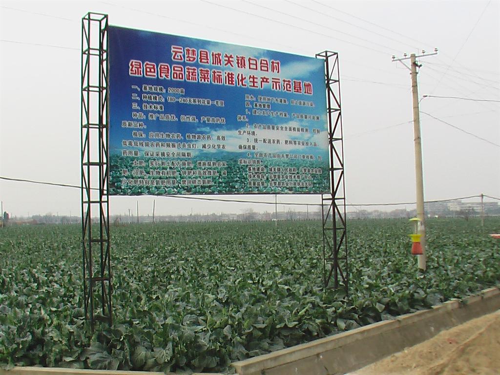 博亿国际(中国)有限公司