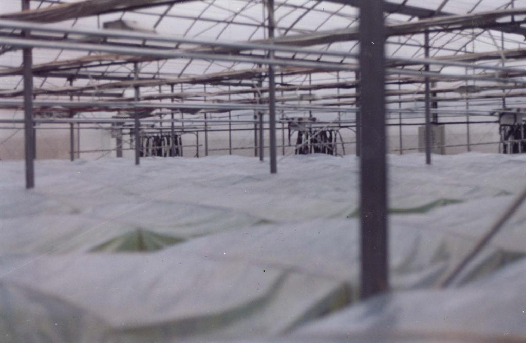 博亿国际(中国)有限公司