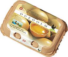 博亿国际(中国)有限公司