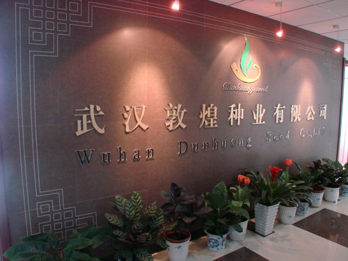 博亿国际(中国)有限公司