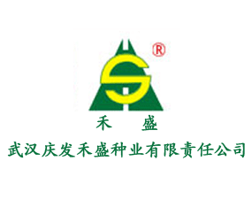 博亿国际(中国)有限公司