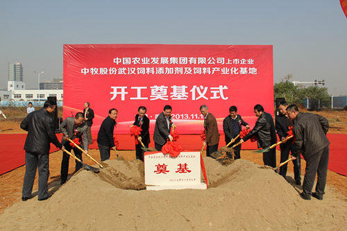 博亿国际(中国)有限公司