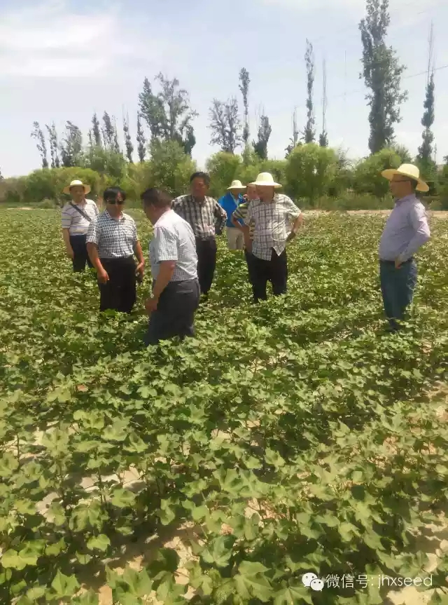 博亿国际(中国)有限公司