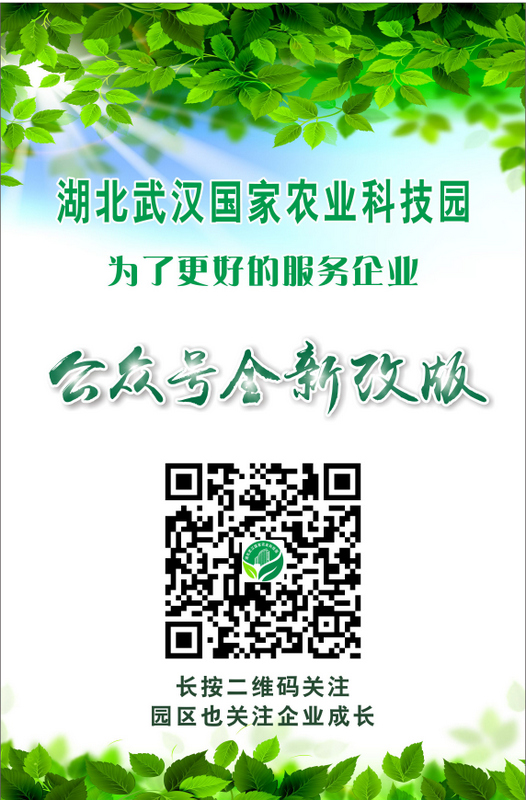 博亿国际(中国)有限公司