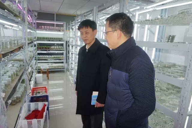 博亿国际(中国)有限公司