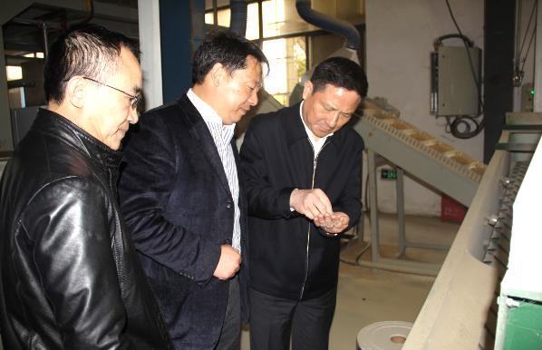 博亿国际(中国)有限公司