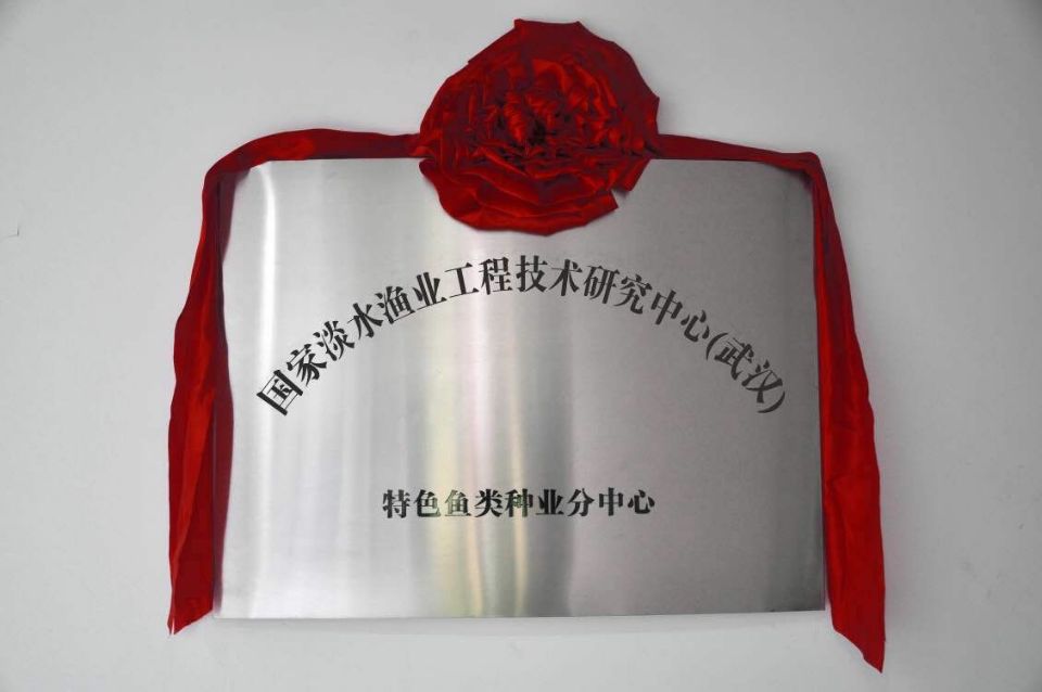 博亿国际(中国)有限公司