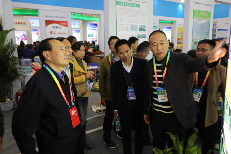 博亿国际(中国)有限公司