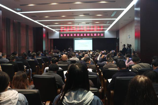 博亿国际(中国)有限公司